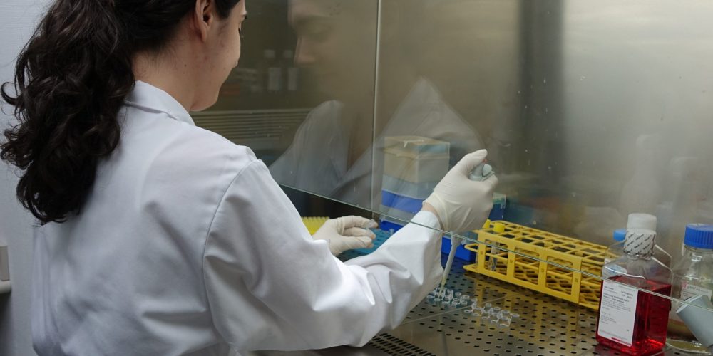 Se busca candidato para realizar tesis doctoral con posibilidad de solicitar ayudas predoctorales nacionales y de la Comunidad Valenciana