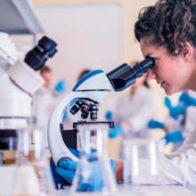 Candidato predoctoral