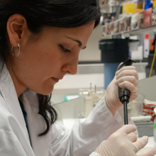 Laura Gisbert inicia estancia