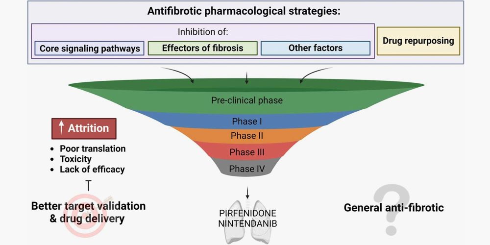 Review publicado en Pharmacological Research