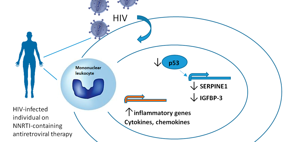 Artículo en Antiviral Research
