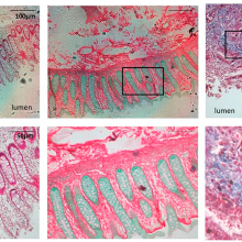 New article published