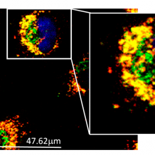 New article published