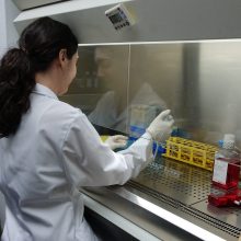 Se busca candidato para realizar tesis doctoral con posibilidad de solicitar ayudas predoctorales nacionales y de la Comunidad Valenciana