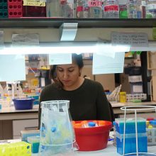 Buscamos estudiante predoctoral