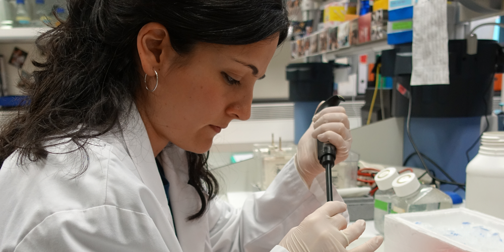 Laura Gisbert begins a stay