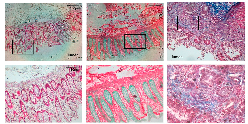 New article published
