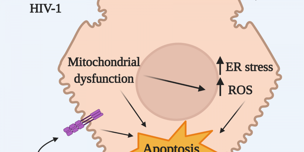 Review in Cells