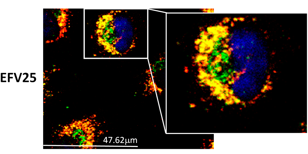 New article published