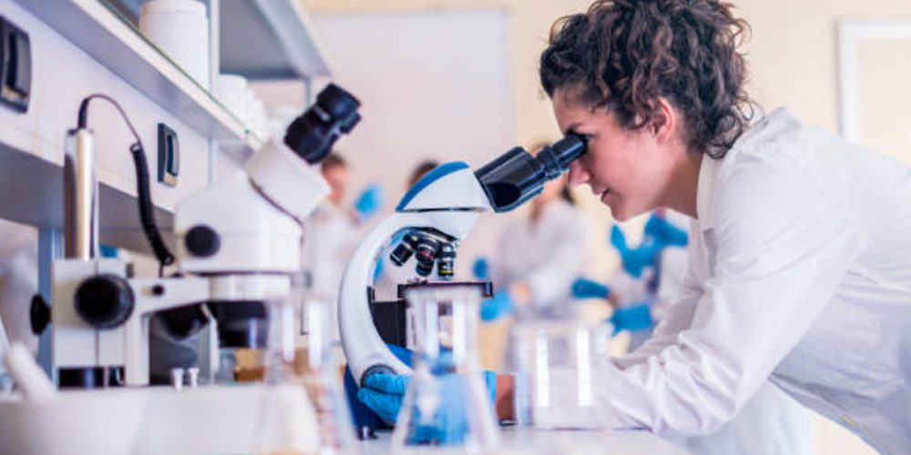 Candidato predoctoral