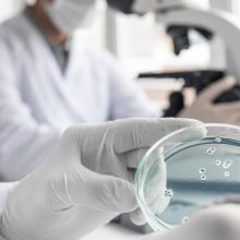 Buscamos un estudiante predoctoral altamente motivado para solicitar contratos predoctorales competitivos y unirse a nuestro grupo de investigación dentro de la Unidad de Farmacología Digestiva e Inflamatoria de la Universidad de Valencia, en Valencia, España