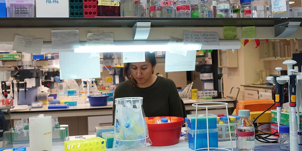 Buscamos estudiante predoctoral