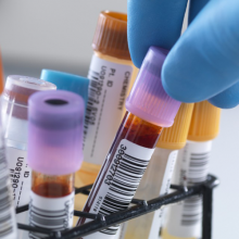 Plaza en Programa de Doctorado