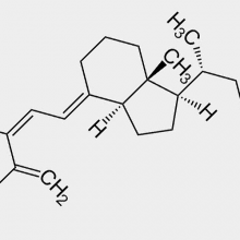 Nueva publicación del grupo