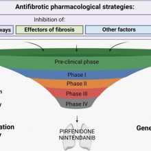 Review published in Pharmacological Research
