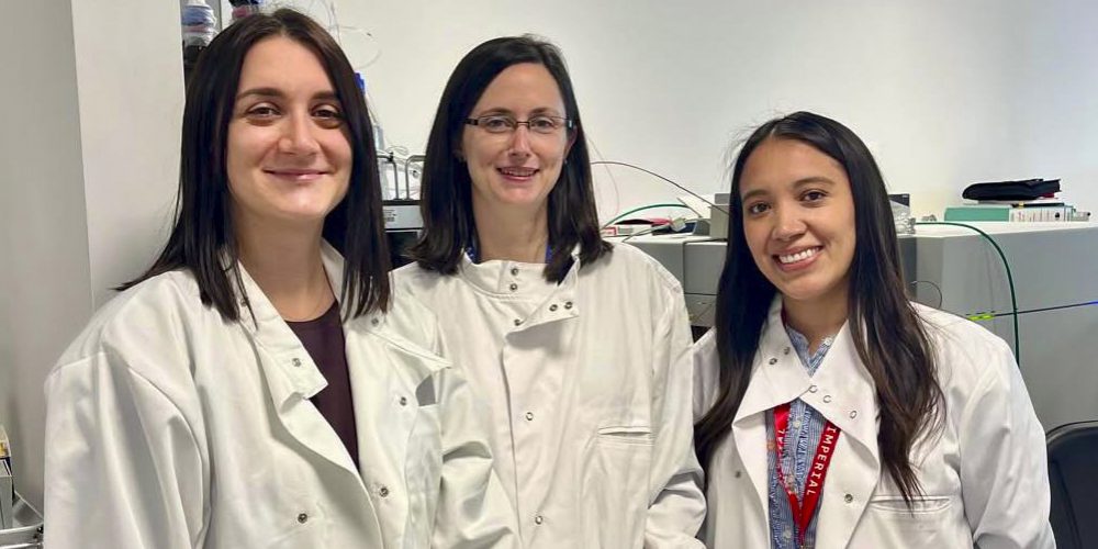 Predoctoral estancia en ICL
