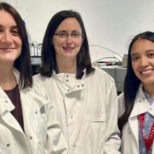 Predoctoral estancia en ICL
