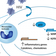 Artículo en Antiviral Research