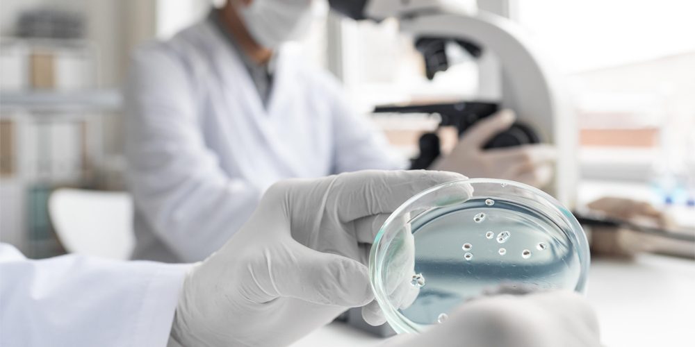 Buscamos un estudiante predoctoral altamente motivado para solicitar contratos predoctorales competitivos y unirse a nuestro grupo de investigación dentro de la Unidad de Farmacología Digestiva e Inflamatoria de la Universidad de Valencia, en Valencia, España
